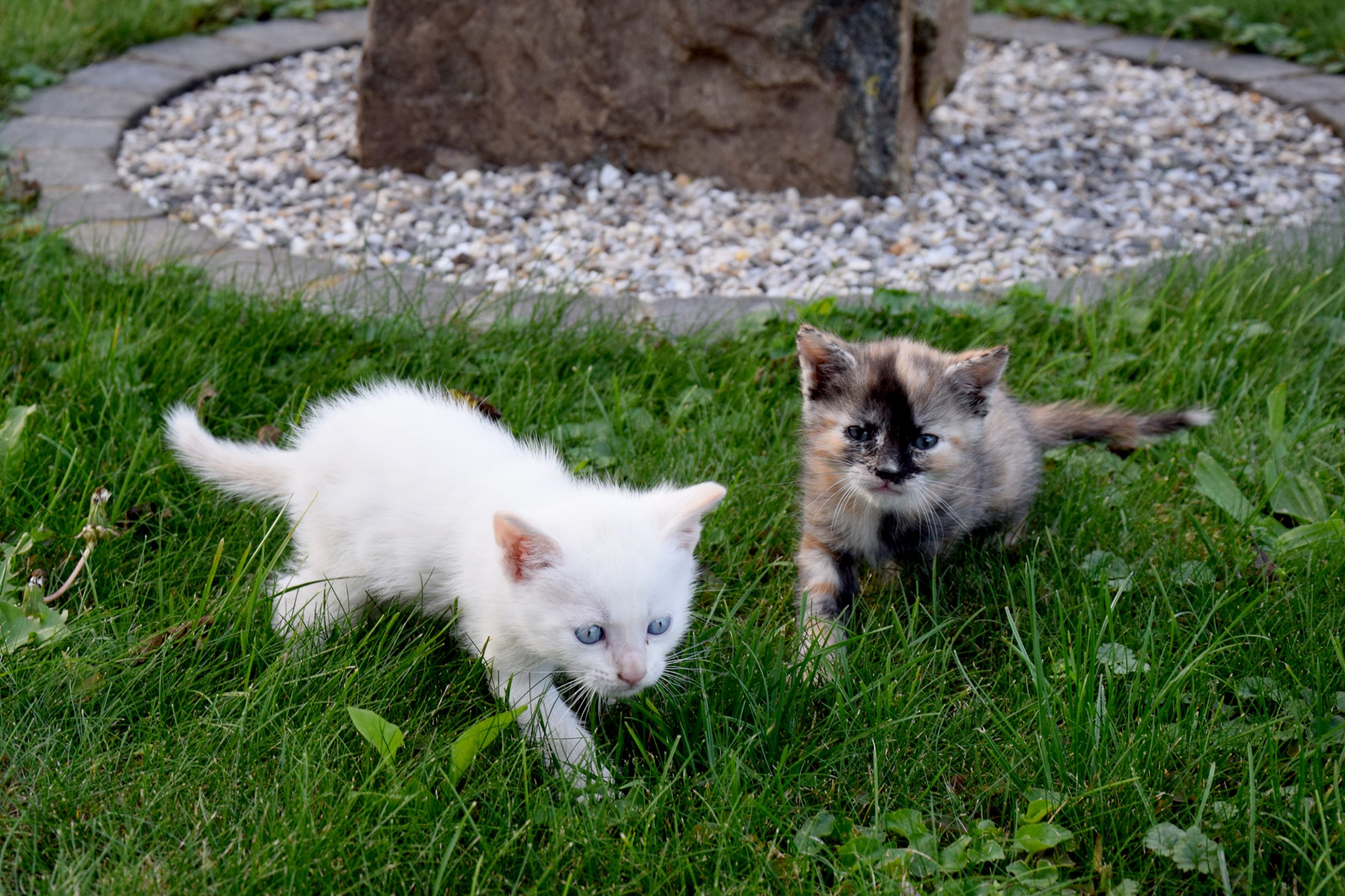 Tierischer Nachwuchs